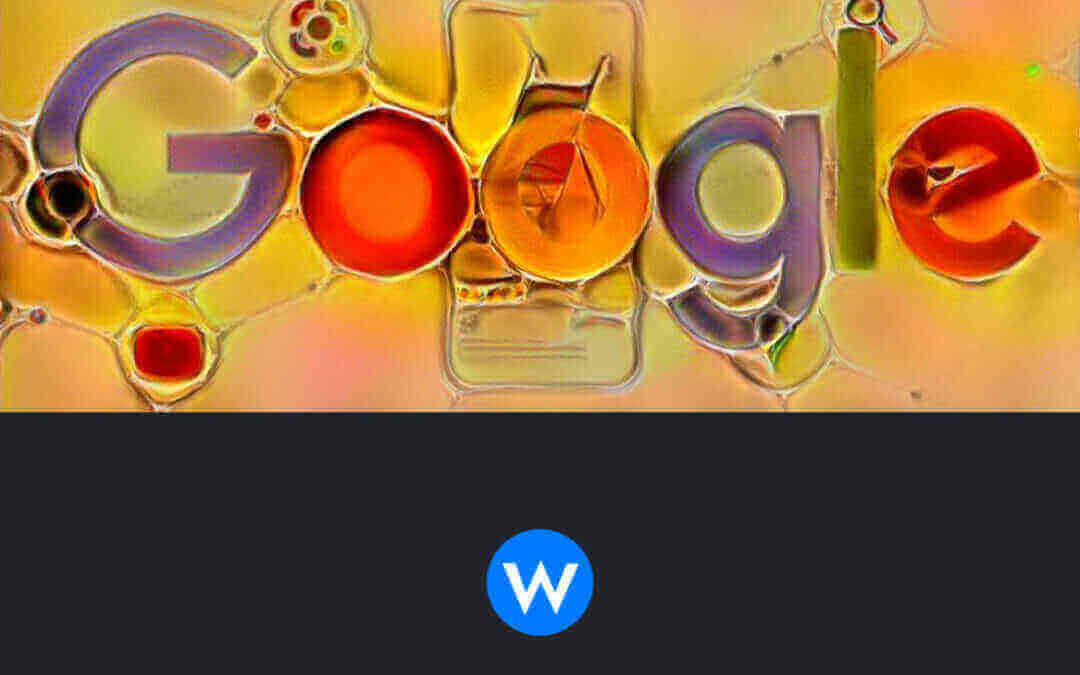 How To Get Your Products Into Google’s Shopping Graph