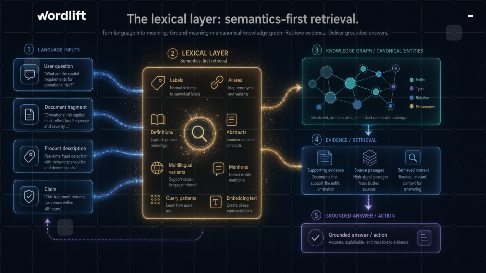 The lexical layer 