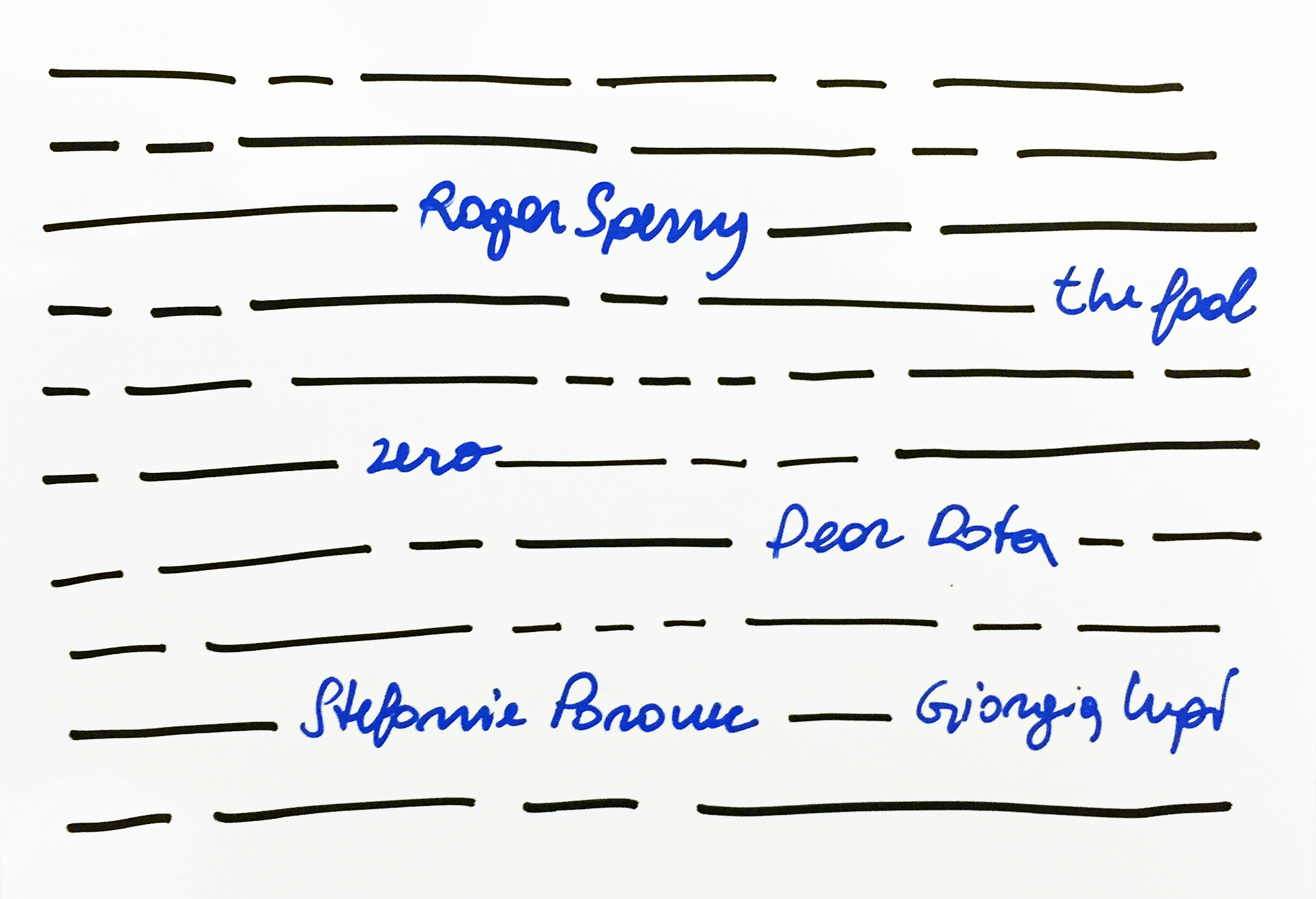 The Language of Numbers or The Number of Languages?