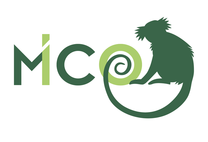 What is MICO research about?